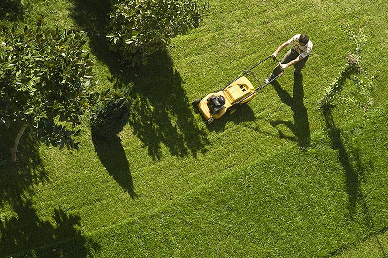 Lawn Care